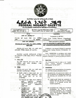 CapitalGoodsleasingbusinessammendement (2).pdf